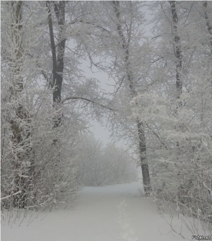 Ну вот ко мне на работу дорожка. Только я уж и не помню когда такое было...