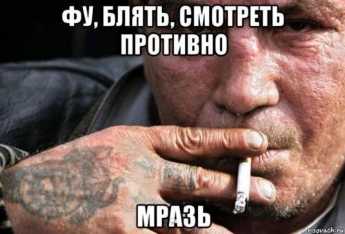 "Это ужасно все": депутат Госдумы от СР пожаловалась на плохое питание