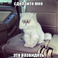 Сука, как это развидеть????