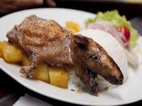 А фиг его знает, что за рагу получается, не пробовал.
Мне только картинки попадались: