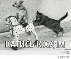 Неожиданная реакция пса на фокус с исчезновением хозяина