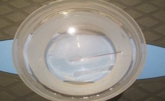 Значит, мне срочно понадобилось определить стороны света (априори нештатная ситуация), но у меня при этом с собой есть шёлк, магнит, пробка,пенопласт, скребка, лезвие и батарейка. Ну-ну...
Для самого быстрого и простого определения сторон света, нужна иголка и кусочек салфетки или туалетной бумаги.
Трем иголку о любой металлический предмет -хоть молния на одежде или люверс на ботинке. Потом иголку кладем на кусочек салфетки и опускаем на поверхность воды. Бумага намокает и тонет, иголка остается лежать на поверхности, благодаря силе поверхностного натяжения , и ориентируется на север. ("Окружающий мир" 4-ый класс)