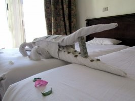 Покупаешь эти 15 Тб, ищешь себя, друзей, знакомых  радуешь болезных если нашёл и едете в эту гостиницу. У всех куча знакомых в исполнительных властях, которые прикроют  эту контору как за вшей, так и за нарушение эл.проводки. Ну а про дальнейшее качество жизни коллектива гостиницы, вообще говорить не приходится.  Им как минимум ещё долго будет стыдно от отснятого видео в этот злополучный день.