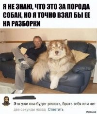 Всё в мире познается в сравнении: 40 удивительных фотографий
