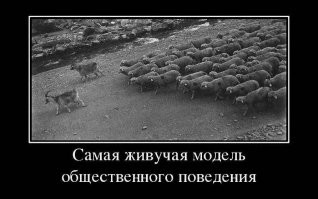 Шприцуют – все!!! Полный локдаун и обязательная вакцинация для всех объявляются в Австрии
