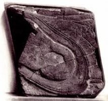 Подавляющее большинство т.н. "неуместных артефактов" просто фейки, причем невероятно убогие.
Гвоздь - утерян. Единственный, кто его видел   автор сообщения о находке, некий Брюстер. Цветные фотографии, которыми иллюстрируются заметки про сей древний артефакт,   очевидный фейк: гвоздь пролюбили до изобретения цветной фотографии (1861 год). 
"След" из Невады ниже на фото, мог быть вообще любым по форме, так как есть лишь кусок, и геологи в голос говорят что формация естественная. Впрочем не надо быть геологом, чтобы это понять, достаточно посмотреть самому на фото.