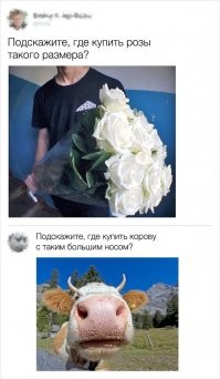 Много фоток из разряда