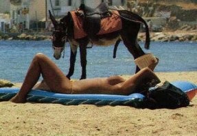 Смешные комментарии из&nbsp;социальных сетей-21