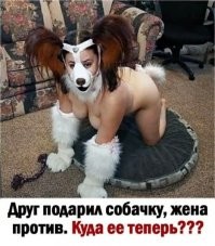 Куда ее теперь? Как куда? В жопу, куда же еще. А если снять маску, можно и в рот. (Это ответ друга)