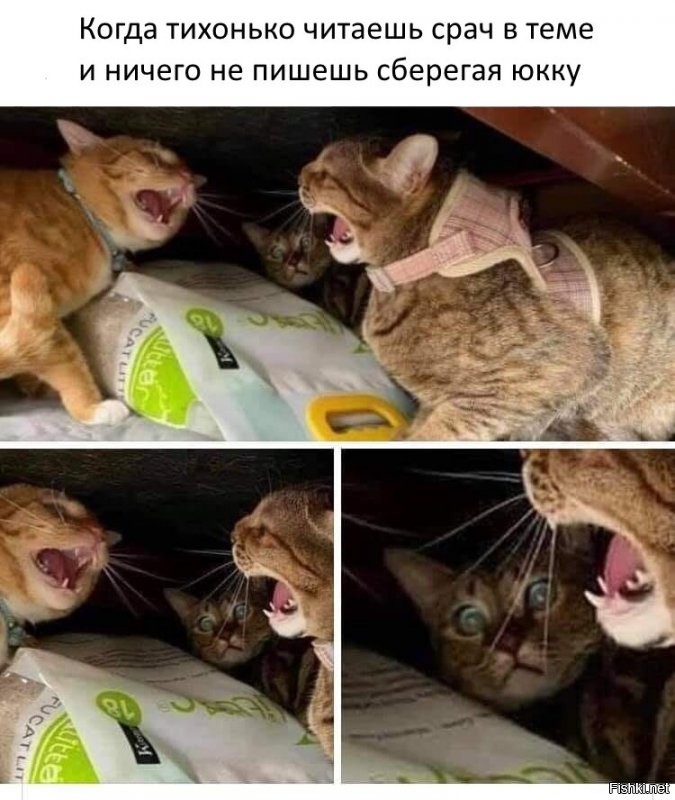 Солянка от 20.11.2021
