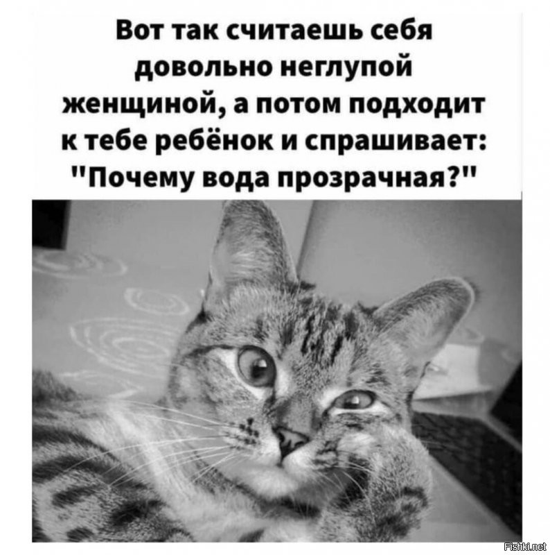 Солянка от 20.11.2021
