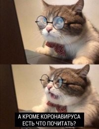 Концерт ценою в 10 жизней и 750 миллионов долларов