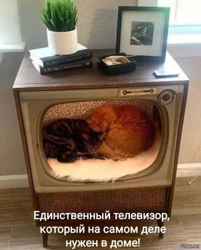 Солянка от 21.11.2021