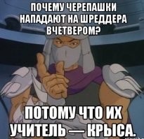 Взлётную полосу аэропорта Токио закрыли из-за черепах