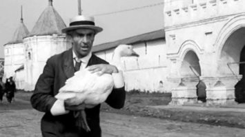 Ну у гуся и вкус свой, так что сравнивать его с тремя курицами...