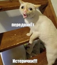 Смешные комментарии из&nbsp;социальных сетей-23