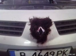 Не дамское дело: изобретения, появившиеся в автомобилях благодаря женщинам