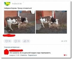 Там ещё где-то парашют должен валятся