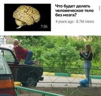 из этой же серии