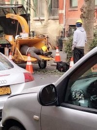 Напомнило фильм 'убойные каникулы"