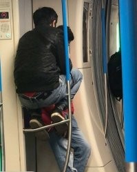 Макаки так и сидят на ветках.Так что эта обезьяна на своём месте.