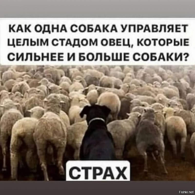 В Казани пассажир без QR-кода брызнул кондуктору в лицо перцовым баллончиком