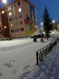 Жёстко написано 
9 месяцев я живу здесь -66 32  с. ш. 66 38  в. д.
Застала и весну и лето и вот зима. 
У каждого по-своему ,но если интересная работа ,есть чем заняться вне работы ,если дома ждут хвостатые и поющие крылатые ,а еще море цветов ...то о какой давящей депрессии может идти речь ? 
Юг- и не только российский ...Эмираты ,Египет ,Борнео -пройденный этап. Пожила там больше 5 лет Арктика -моя любовь .
Есть ,конечно ,в центральной полосе России свой " домик в деревне" ,но пока в планах поработать здесь лет 6 и с "золотым парашютом " вернуться .
фотографии сделаны в субботу