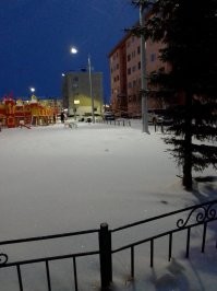 Жёстко написано 
9 месяцев я живу здесь -66 32  с. ш. 66 38  в. д.
Застала и весну и лето и вот зима. 
У каждого по-своему ,но если интересная работа ,есть чем заняться вне работы ,если дома ждут хвостатые и поющие крылатые ,а еще море цветов ...то о какой давящей депрессии может идти речь ? 
Юг- и не только российский ...Эмираты ,Египет ,Борнео -пройденный этап. Пожила там больше 5 лет Арктика -моя любовь .
Есть ,конечно ,в центральной полосе России свой " домик в деревне" ,но пока в планах поработать здесь лет 6 и с "золотым парашютом " вернуться .
фотографии сделаны в субботу