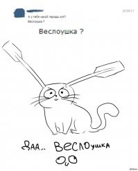 Мутанты среди нас: необычные пород кошек