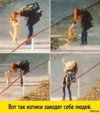 Наглость — второе счастье