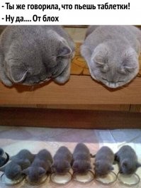 Не скучай, мы уже идем!