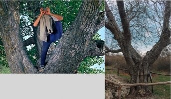 Не давно бывал в местах съемок этих кадров. Алушта, Демерджи если кому интересно, там не малая часть фильма снималась.