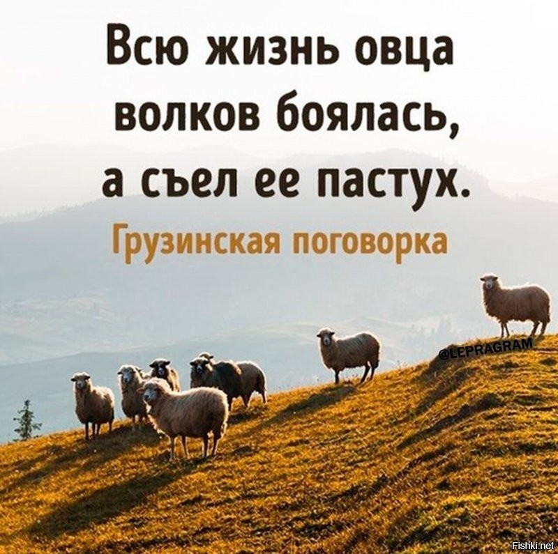 Солянка от 22.11.2021