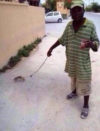 На позитиве