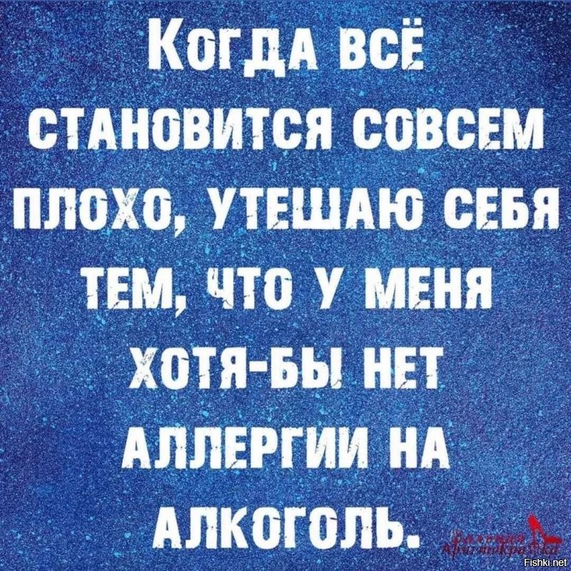 Солянка от 23.11.2021