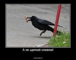 Подростки обокрали пекарню на глазах у продавщицы