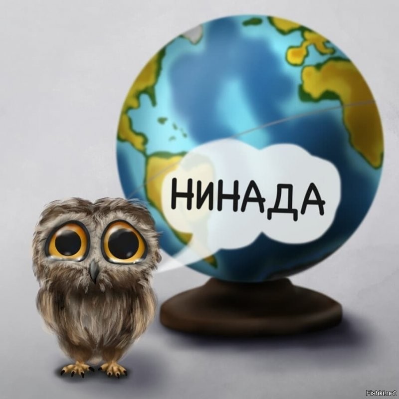 Сова, йоптыть 