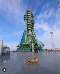 Природа настолько очистилась...