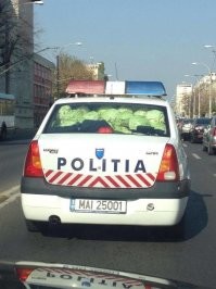 Настригли капусты!