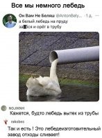 "а белый лебедь на пруду доярку щиплет за п**ду
на том пруду где я имел тебя "в туду"