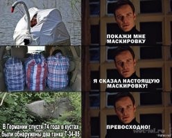Медведь улёгся в яму, чтобы наблюдать за утками