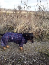 Две мои хорошие девочки. Попробуете угадать какова я?