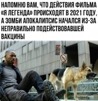 Главврач сахалинской больницы уничтожал вакцину и давал ложные QR-коды