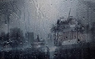 Что рассматривают люди на фото?