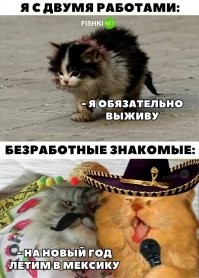 я ж вам говорил как-то, кто жизнь знает, тот не работает.
а вы меня заминусовали