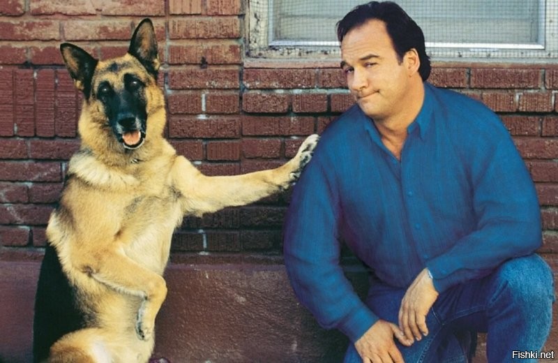 Почему этих знаменитостей забыли?