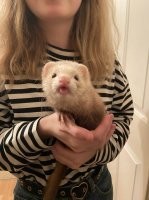 Уберите сейчас же моё фото из сети!!!