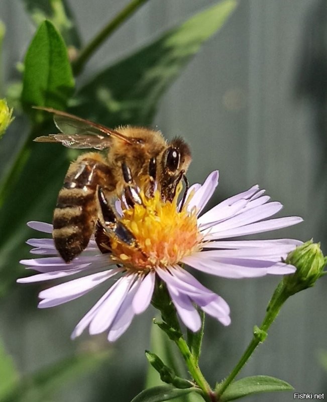 Друг спрашивал: садо-мазо кто испытывал