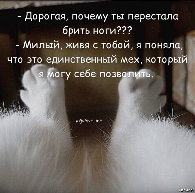 Солянка от 24.11.2021