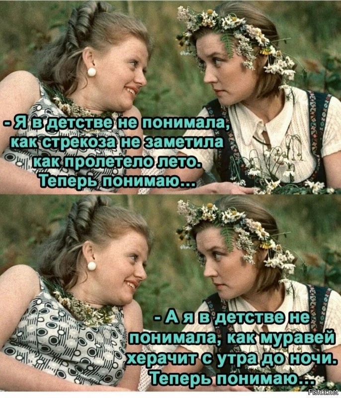 Солянка от 24.11.2021